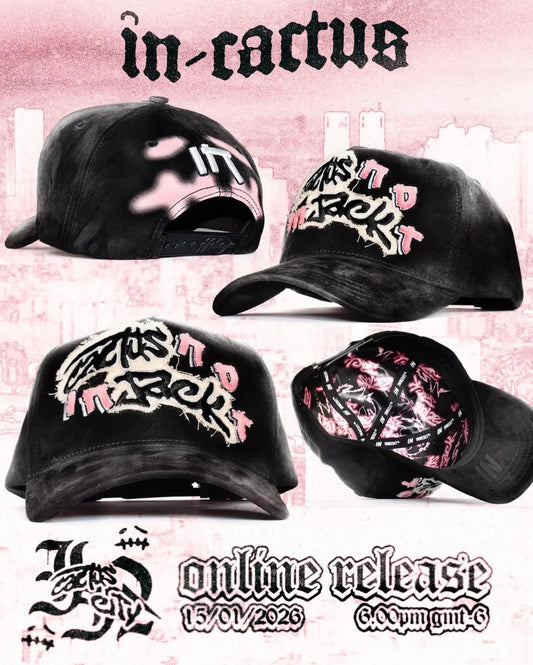 in-cactus (PREVENTA)